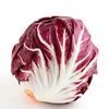 radicchio